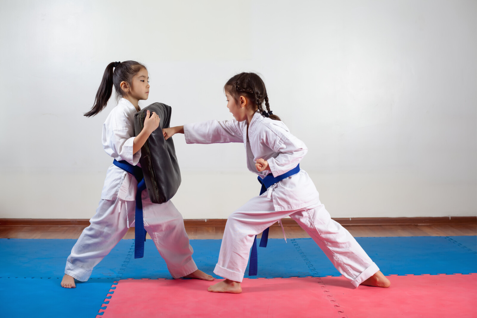 Two young girls practicing martial arts in a dojo. One girl holds a padded shield, while the other performs a focused punch. Both wear white uniforms with blue belts, standing on colorful mats in a training environment.